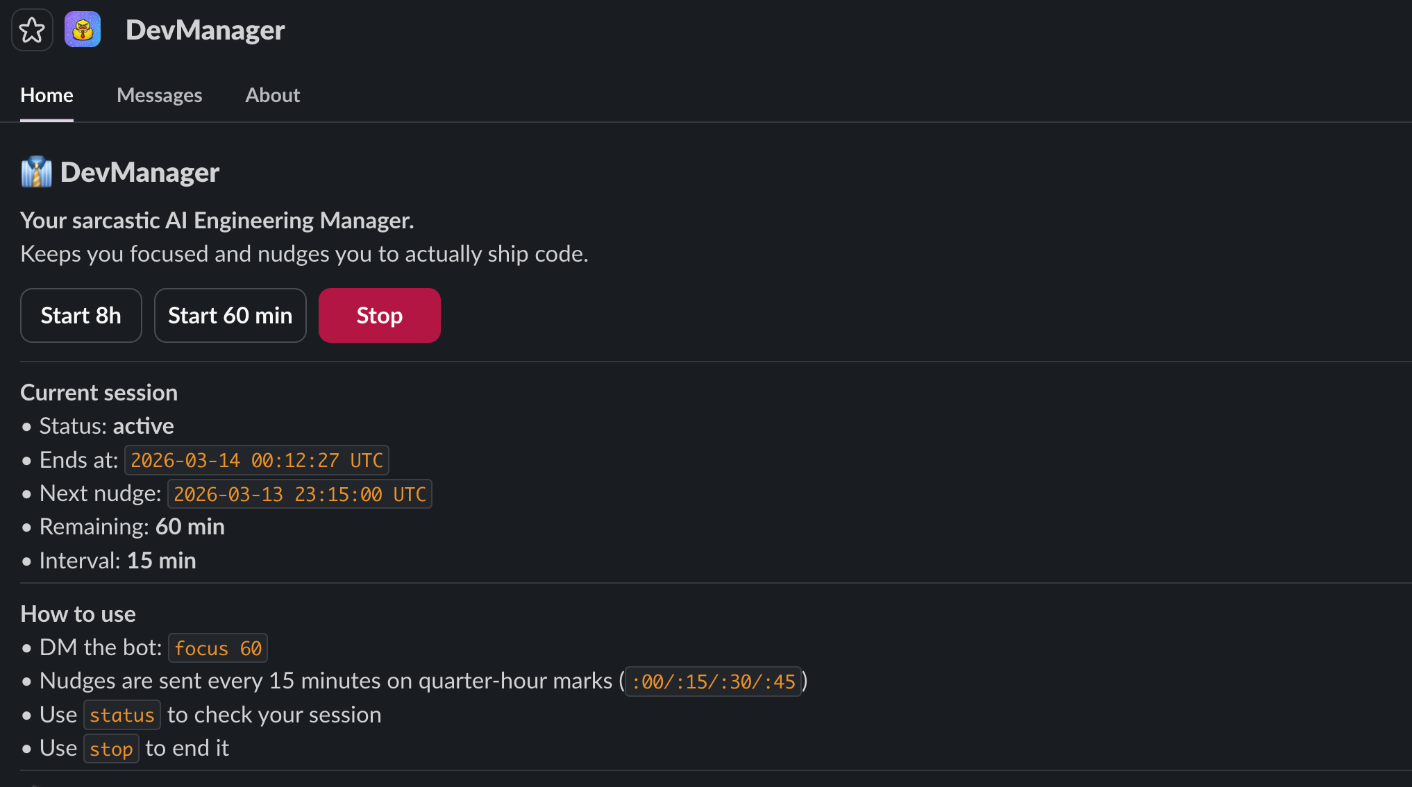 DevManager home tab screenshot